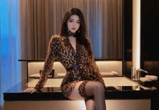 上海品茶工作室静安闵行浦东优选茶品深度喝茶指南